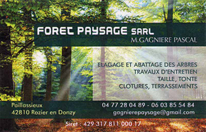 Foret Paysage